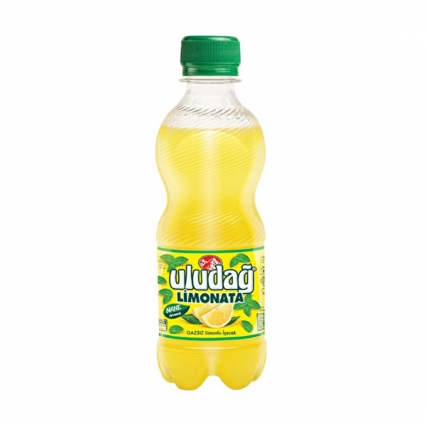 Uludağ Lemonade Mint Flavored 330 ml Pet Bottle