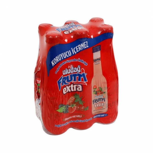 Uludağ Frutti Extra Orman Meyveli Doğal Zengin Mineralli Gazlı İçecek 6X250 ml Çoklu Paket