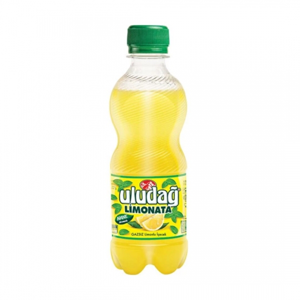 Uludağ Limonata Nane Aromalı 330 ml Pet Şişe